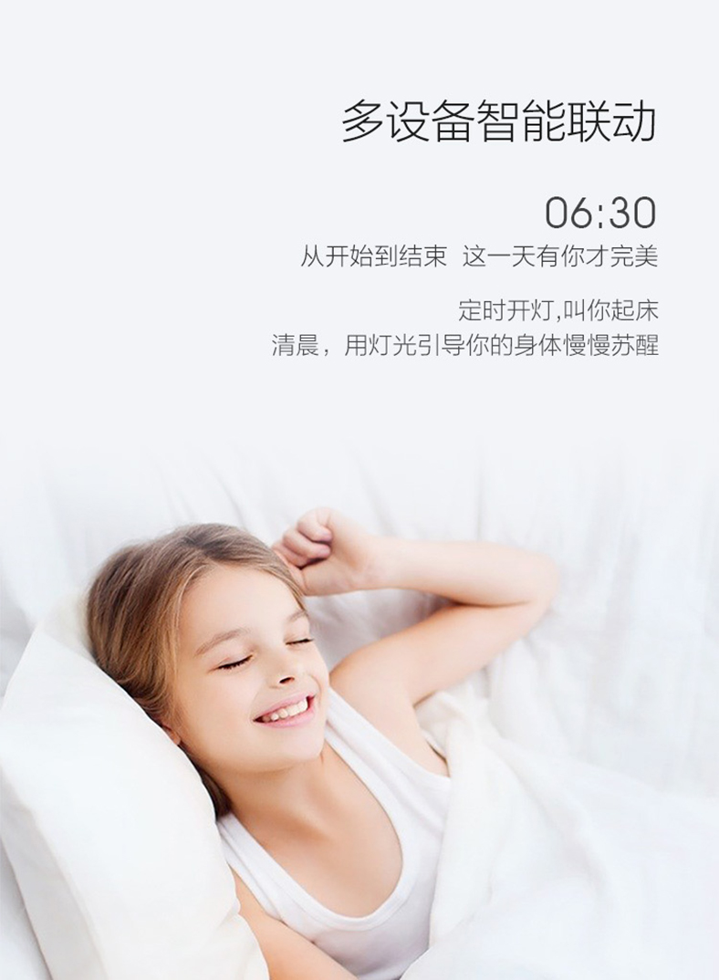 小米生態鏈